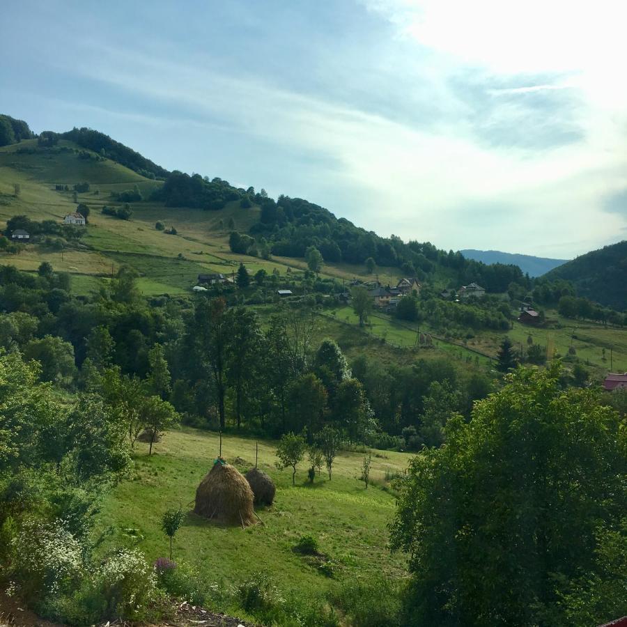 Cabana Baraj Apuseni Mountains Mihoesti Экстерьер фото