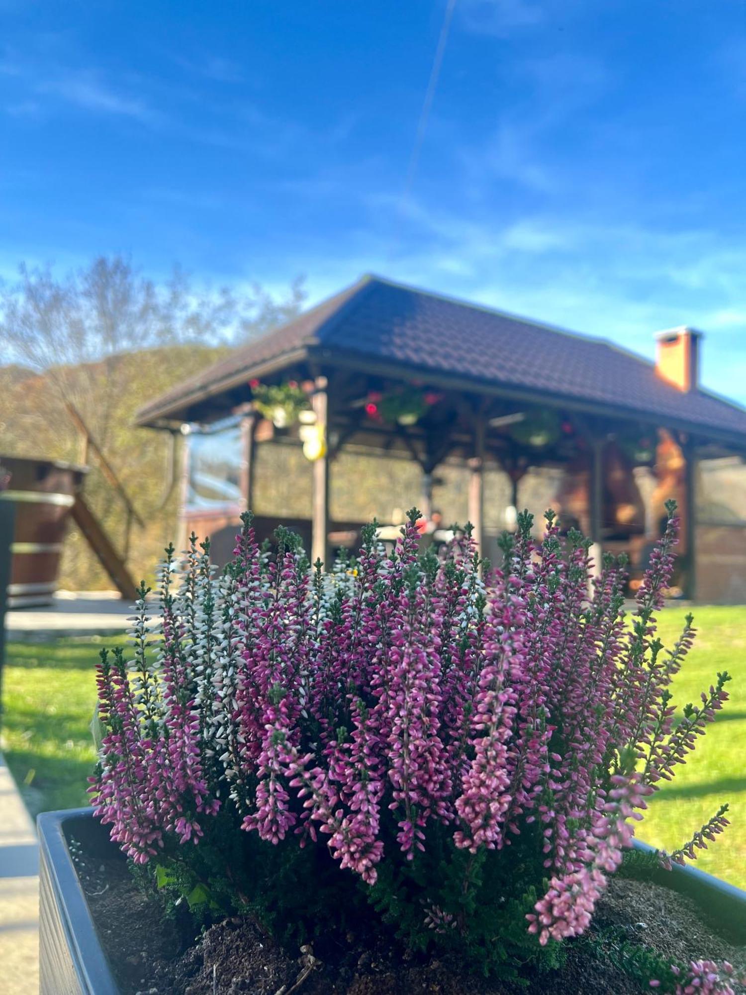 Cabana Baraj Apuseni Mountains Mihoesti Экстерьер фото