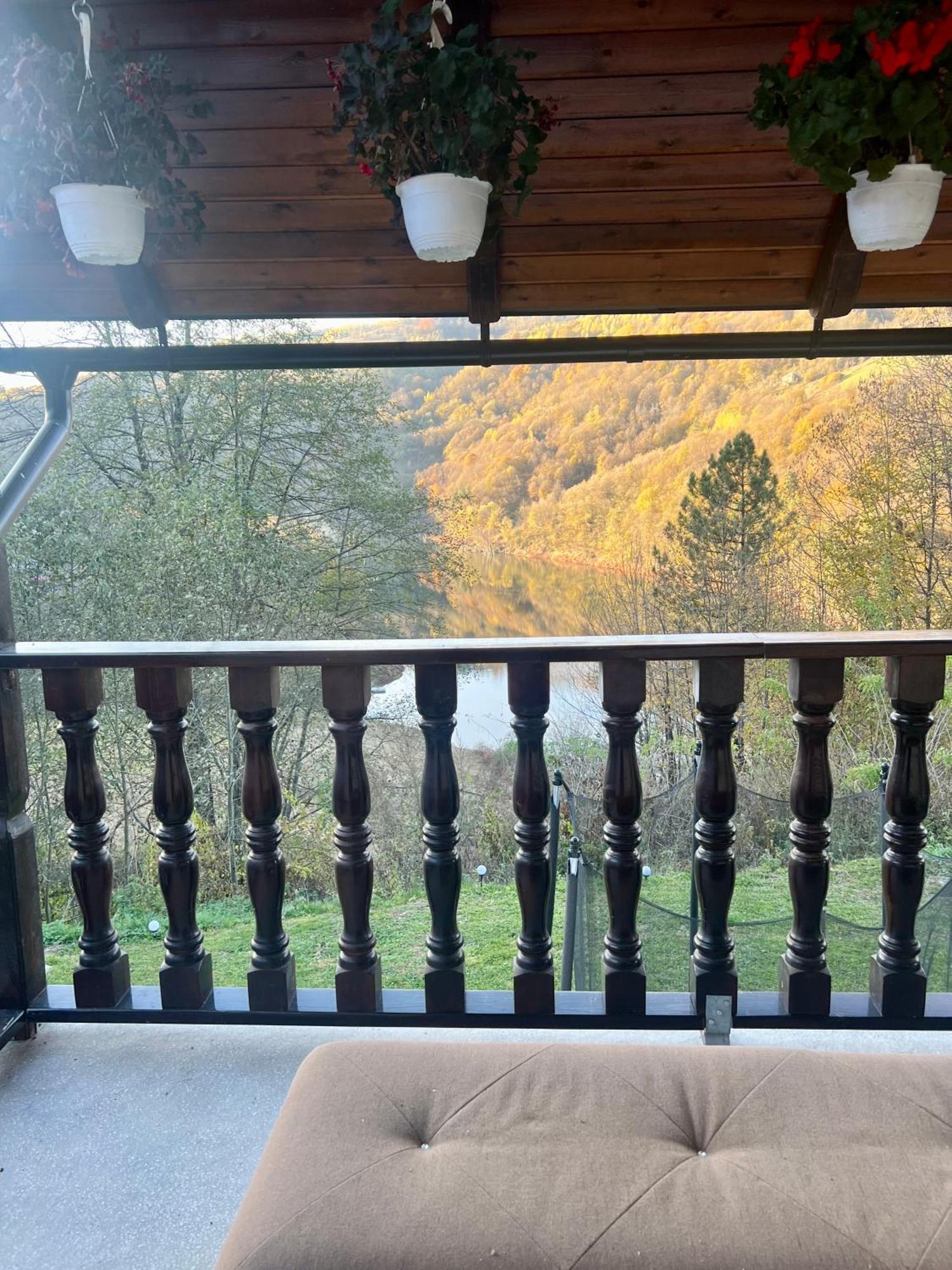 Cabana Baraj Apuseni Mountains Mihoesti Экстерьер фото