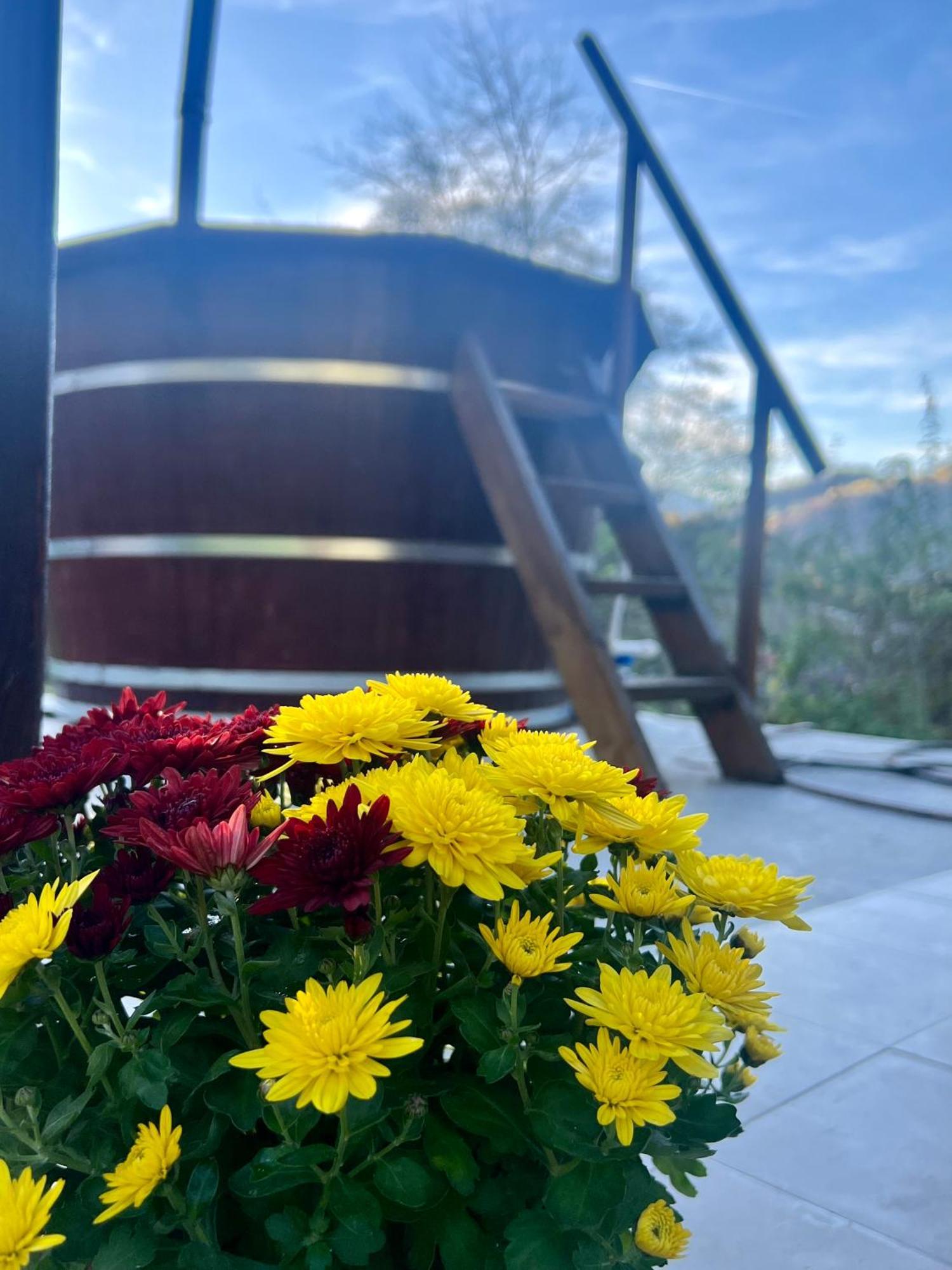 Cabana Baraj Apuseni Mountains Mihoesti Экстерьер фото